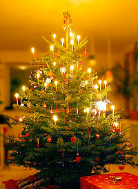 2013 Christmas - http://commons.wikimedia.org/wiki/File:Juletr%C3%A6et.jpg